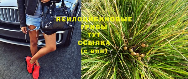 ПСИЛОЦИБИНОВЫЕ ГРИБЫ Радужный
