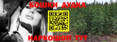 дживик Бийск