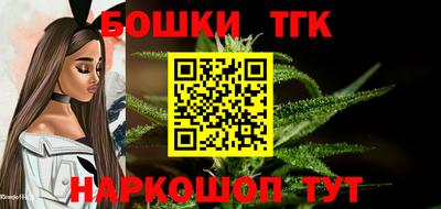 дживик Бийск